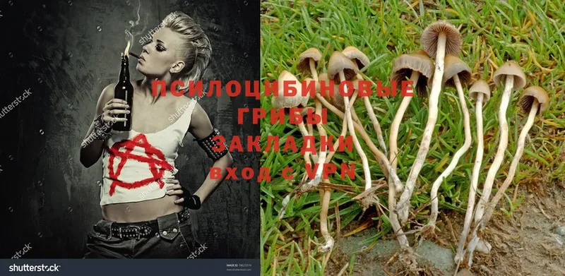 Галлюциногенные грибы Magic Shrooms  Новоульяновск 